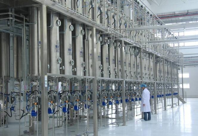 植物精油提取设备